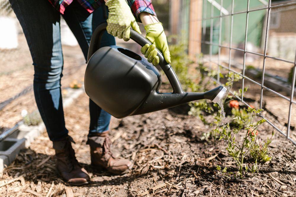 Irrigation & Outils