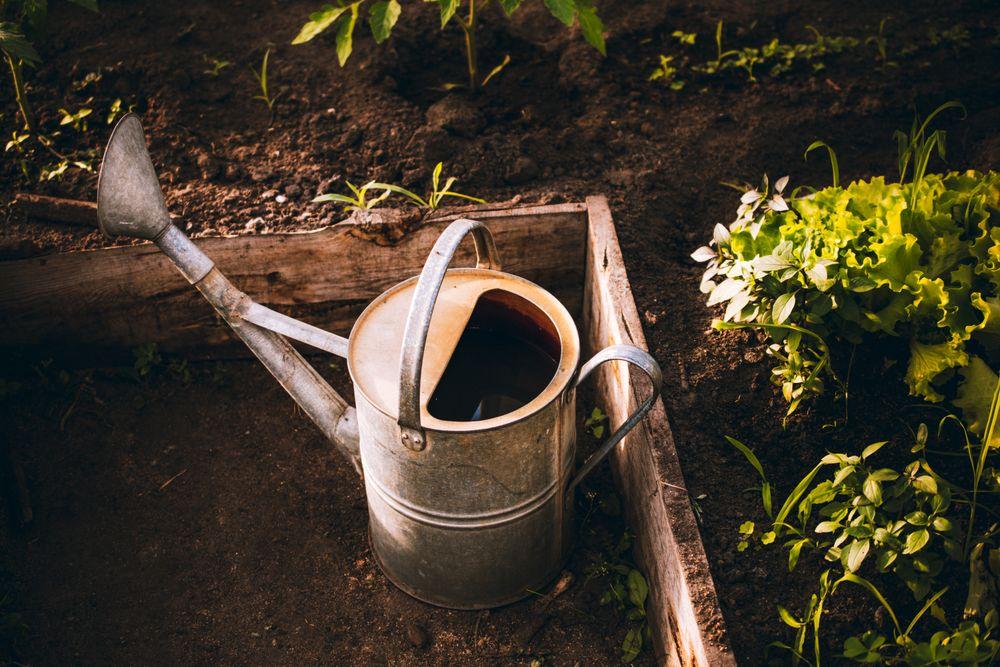 Arrosoir de jardin