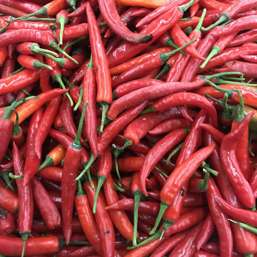 Semences de piment