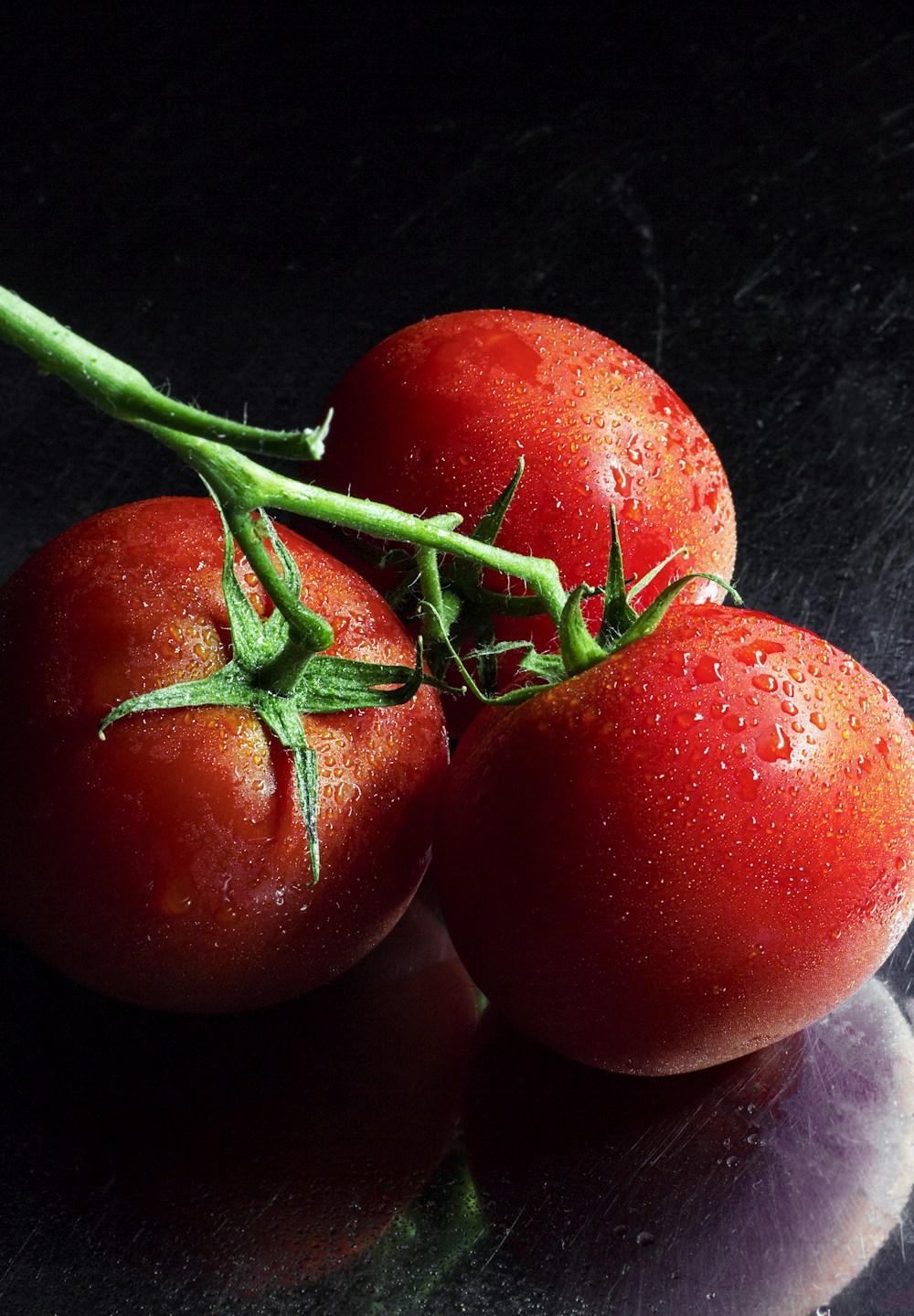 Semences de tomate